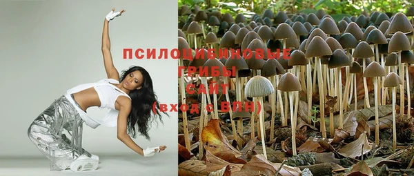 apvp Алексеевка