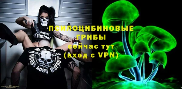 apvp Алексеевка